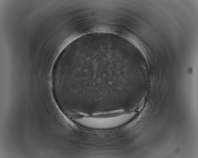 X0000097841141200803281218
