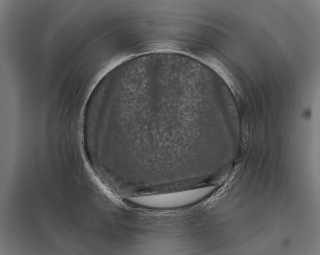 X0000097841142200803281218
