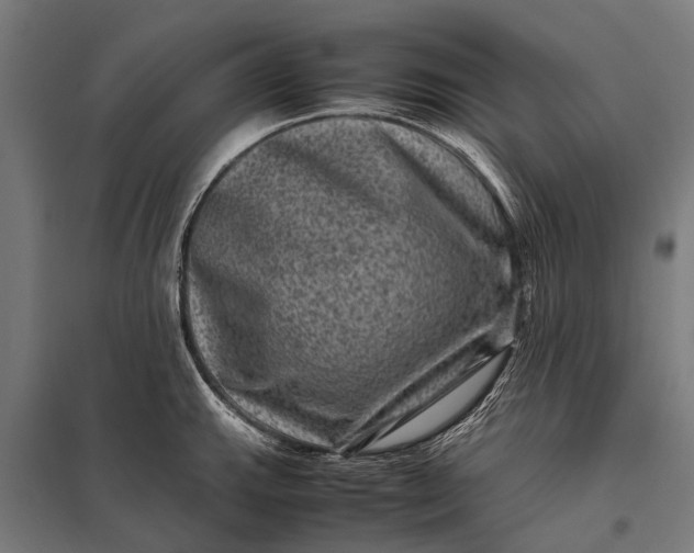 X0000097841143200803281218