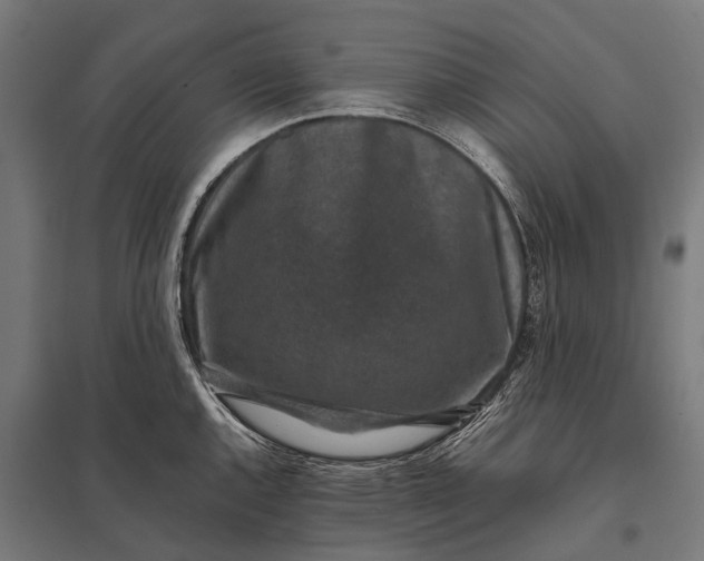 X0000097841144200803281218