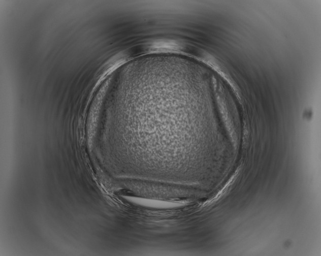 X0000097841145200803281218