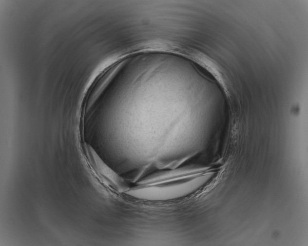 X0000097841146200803281218