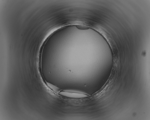 X0000097841147200803281218