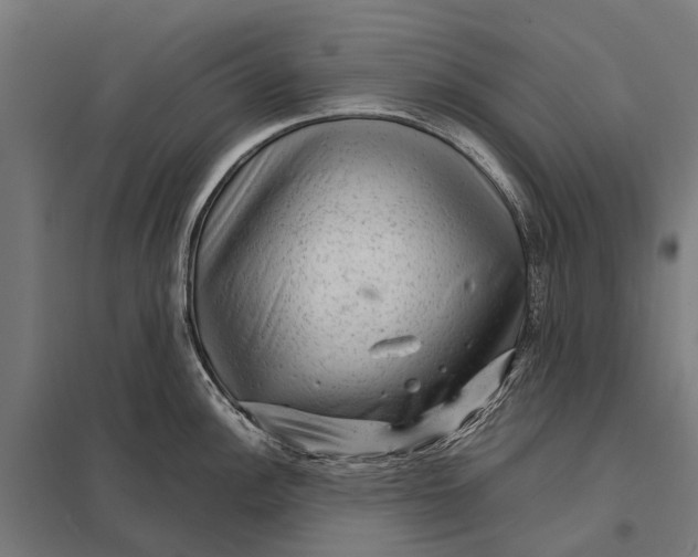 X0000097841148200803281218