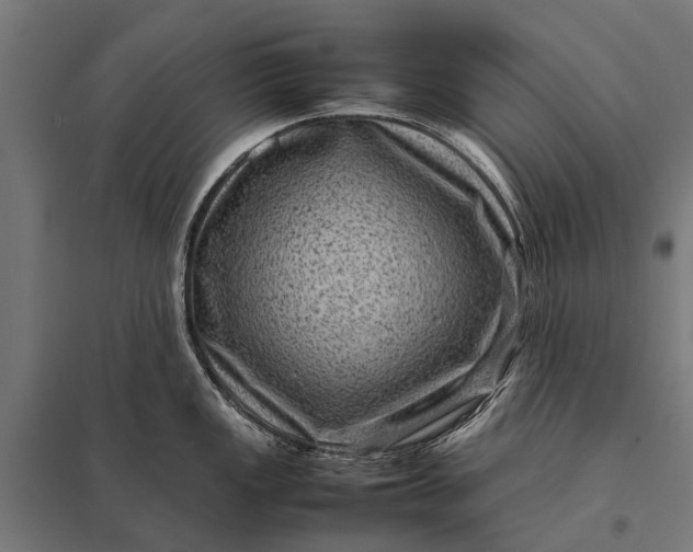 X0000097841149200803281218