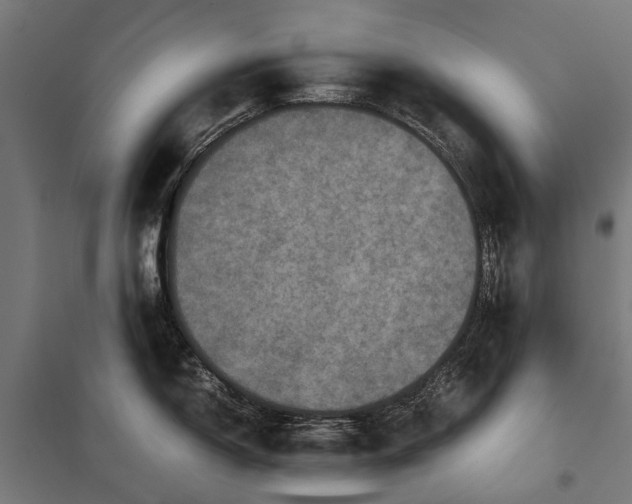 X0000097841150200803281218