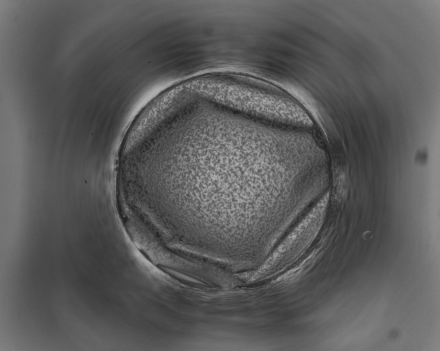 X0000097841151200803281218