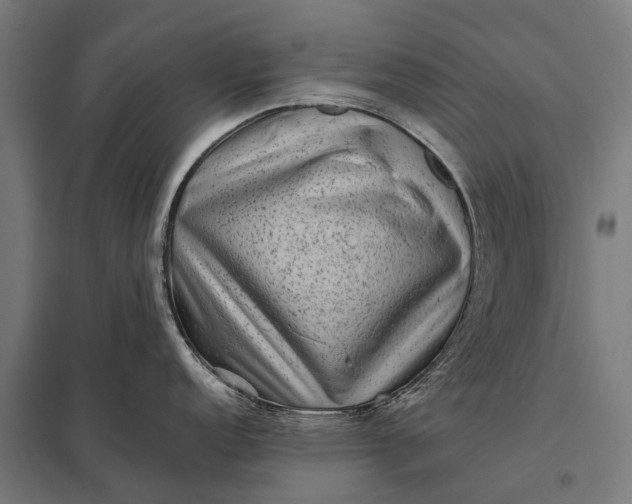 X0000097841152200803281218
