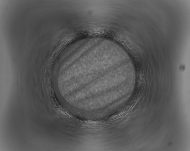 X0000097841153200803281217