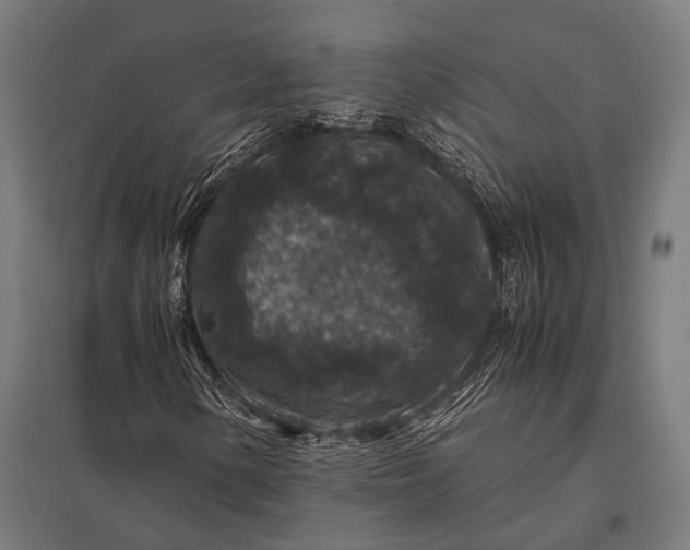 X0000097841154200803281217