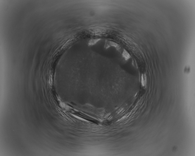 X0000097841155200803281217