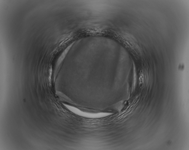 X0000097841156200803281217