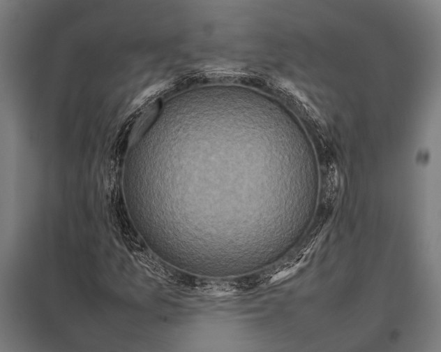 X0000097841157200803281217