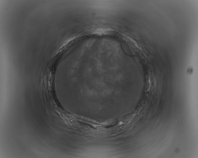 X0000097841158200803281217