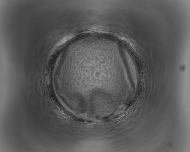 X0000097841159200803281217