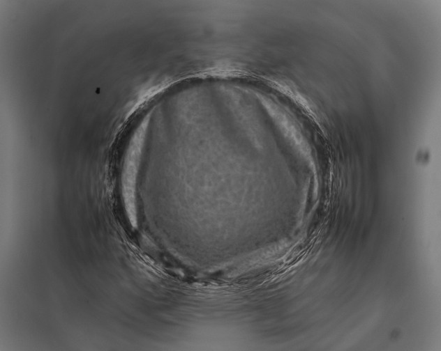 X0000097841160200803281217