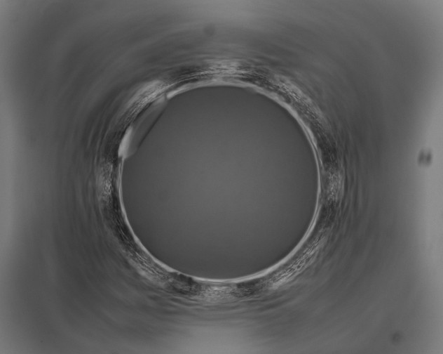 X0000097841161200803281217