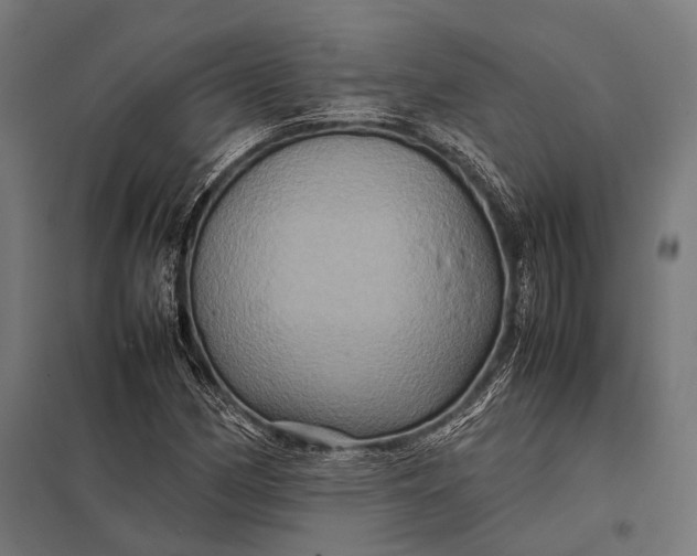 X0000097841162200803281217