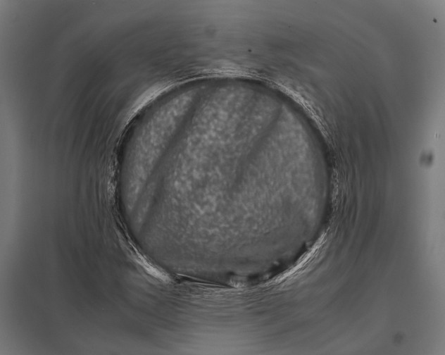 X0000097841163200803281217