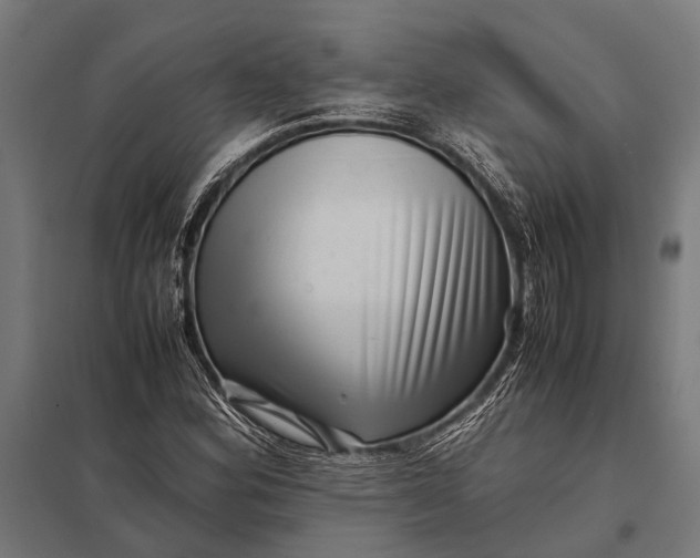 X0000097841164200803281217