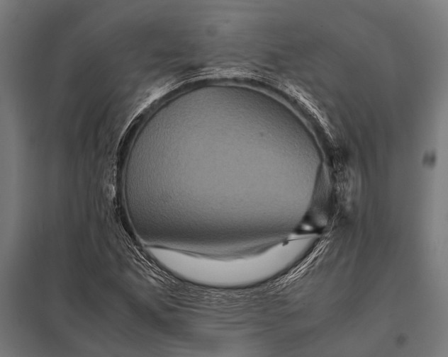 X0000097841165200803281217
