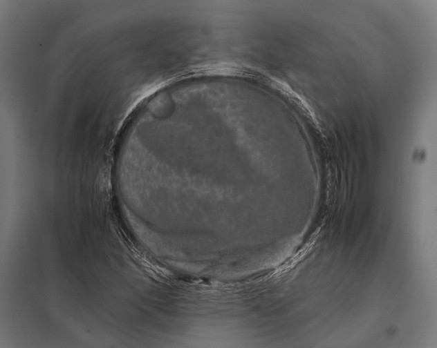 X0000097841166200803281217