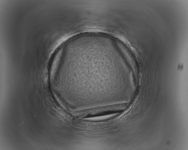 X0000097841167200803281217