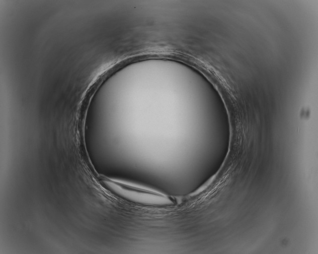 X0000097841168200803281217
