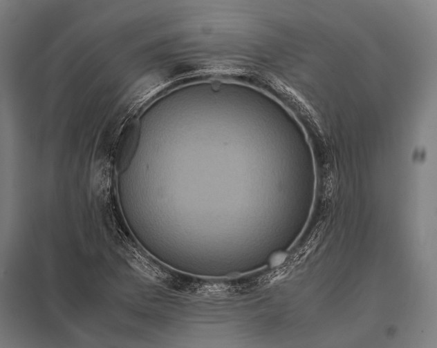 X0000097841169200803281217