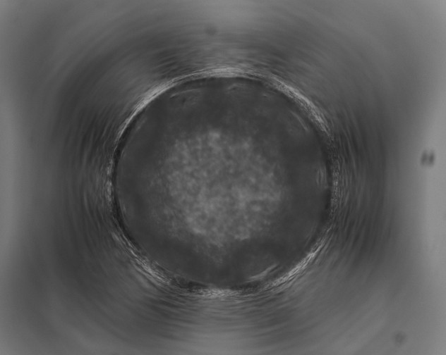 X0000097841170200803281217