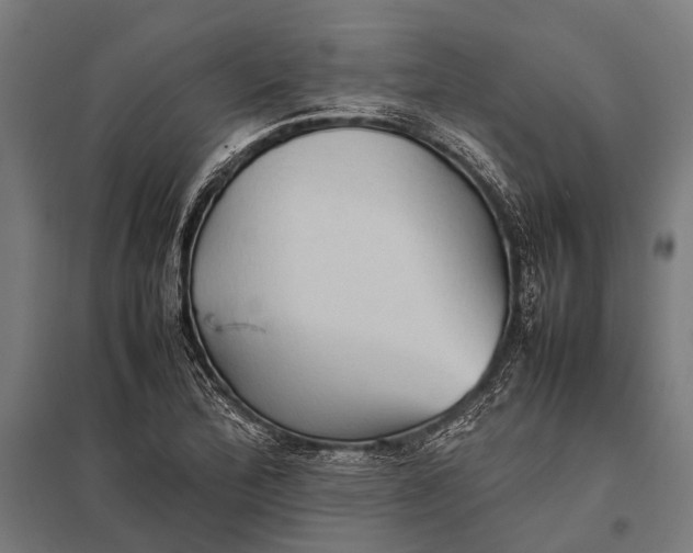 X0000097841172200803281217