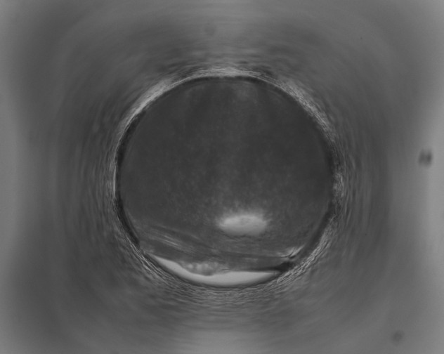 X0000097841173200803281217