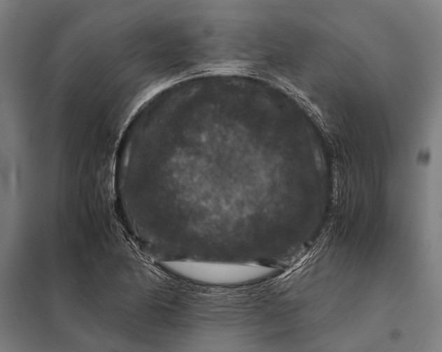 X0000097841174200803281217