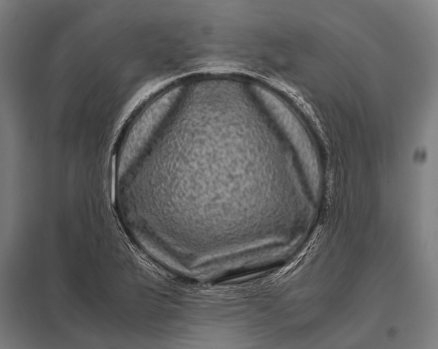 X0000097841175200803281217