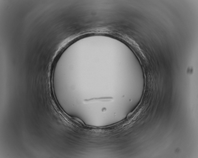 X0000097841176200803281217
