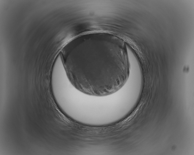 X0000097841177200803281217