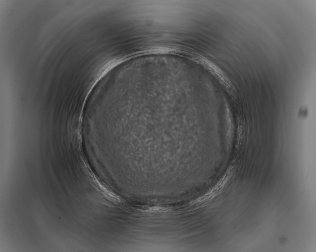 X0000097841178200803281217