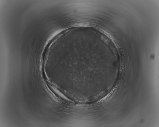 X0000097841179200803281217