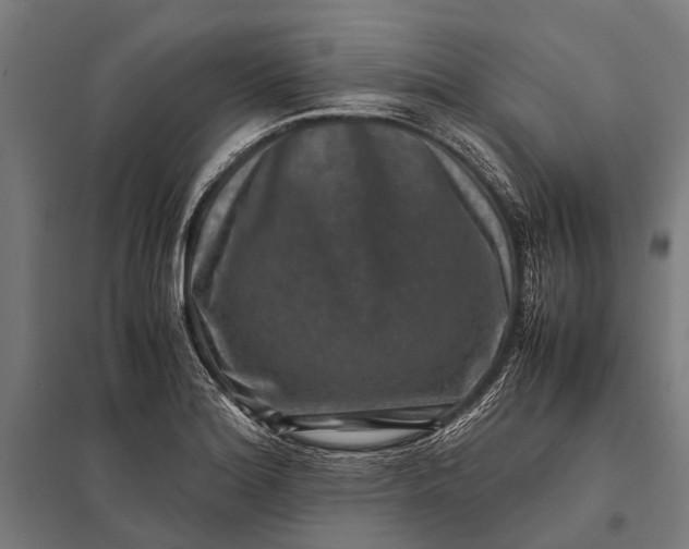 X0000097841180200803281217