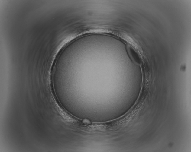 X0000097841181200803281217