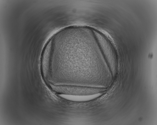 X0000097841183200803281217