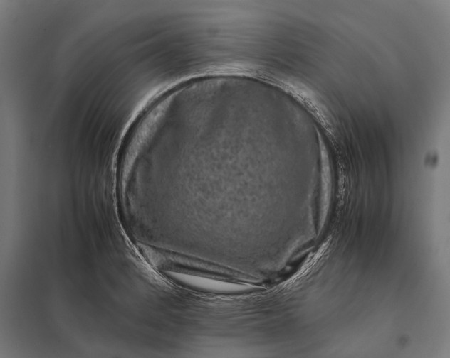 X0000097841184200803281217