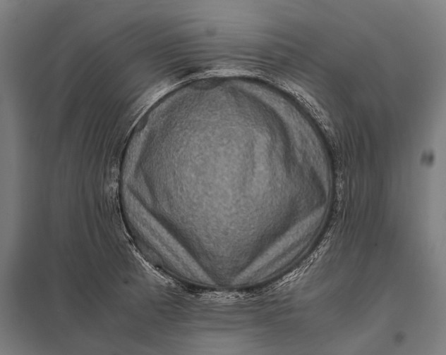 X0000097841185200803281217