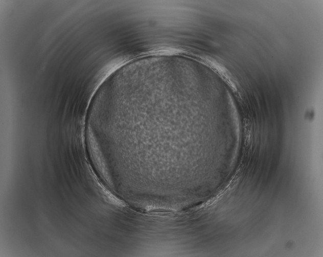 X0000097841186200803281217