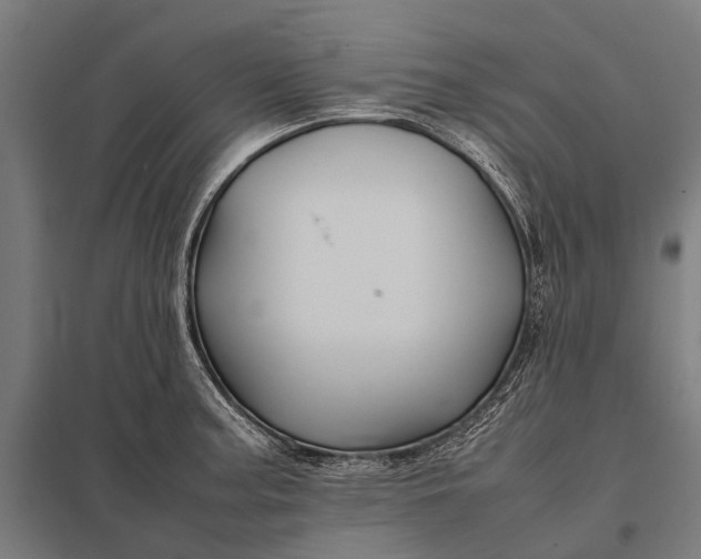 X0000097841187200803281217