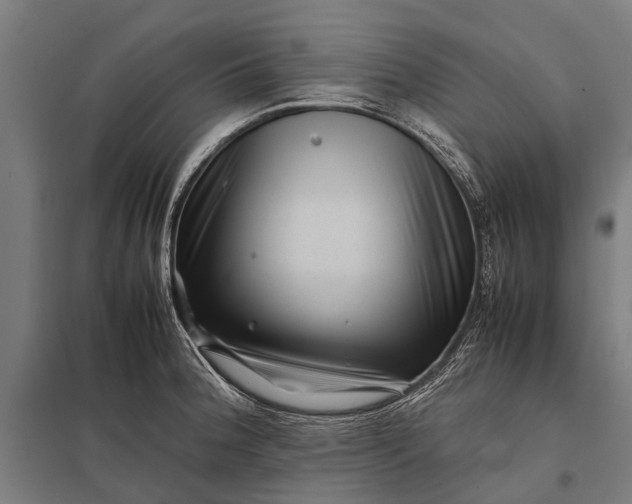X0000097841188200803281217