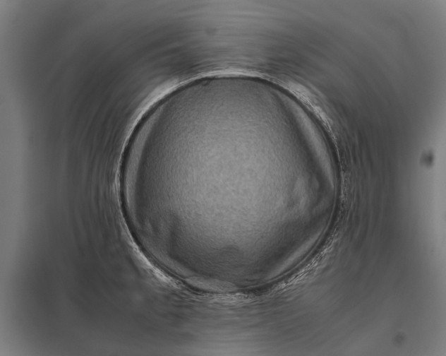 X0000097841189200803281217