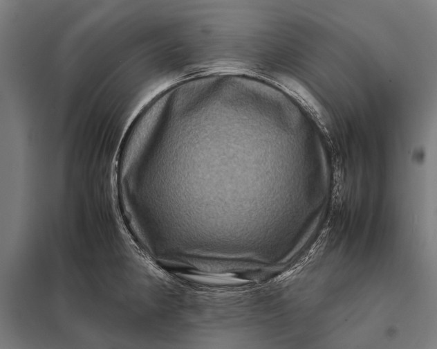 X0000097841190200803281217