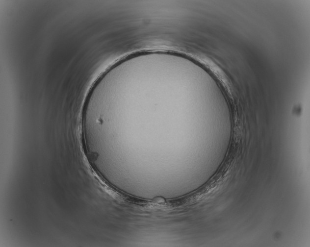 X0000097841191200803281217