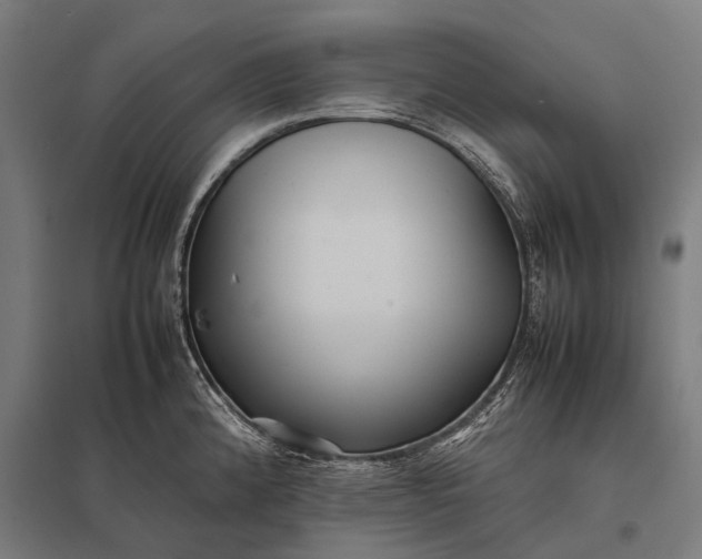 X0000097841192200803281217
